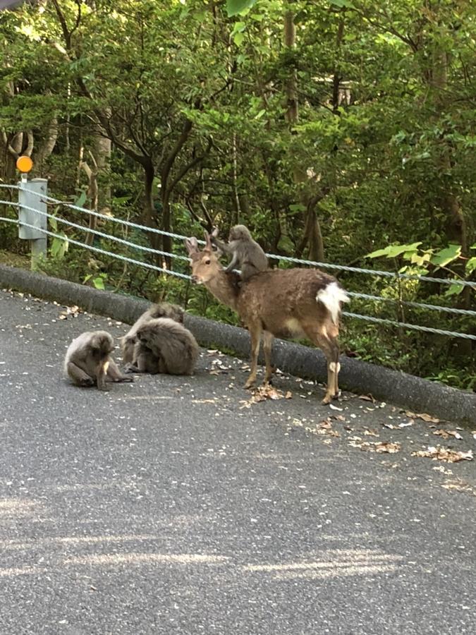 Yakushima Pension Luana House Екстериор снимка